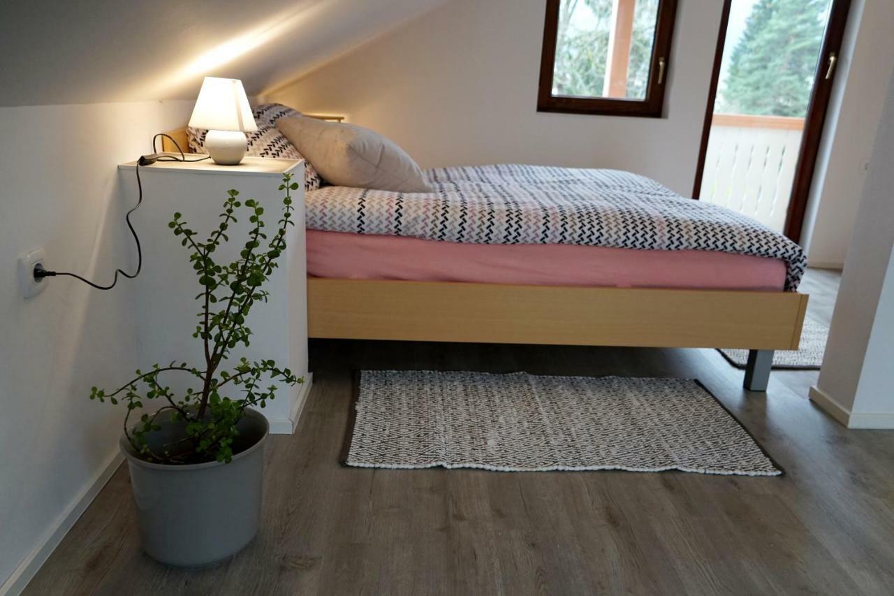 Apartma Erzen Zgornje Gorje Exterior foto