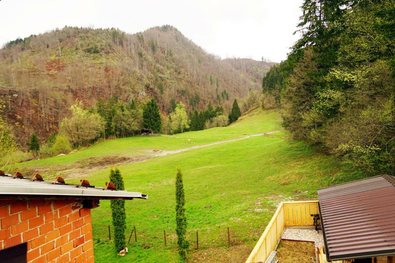 Apartma Erzen Zgornje Gorje Exterior foto