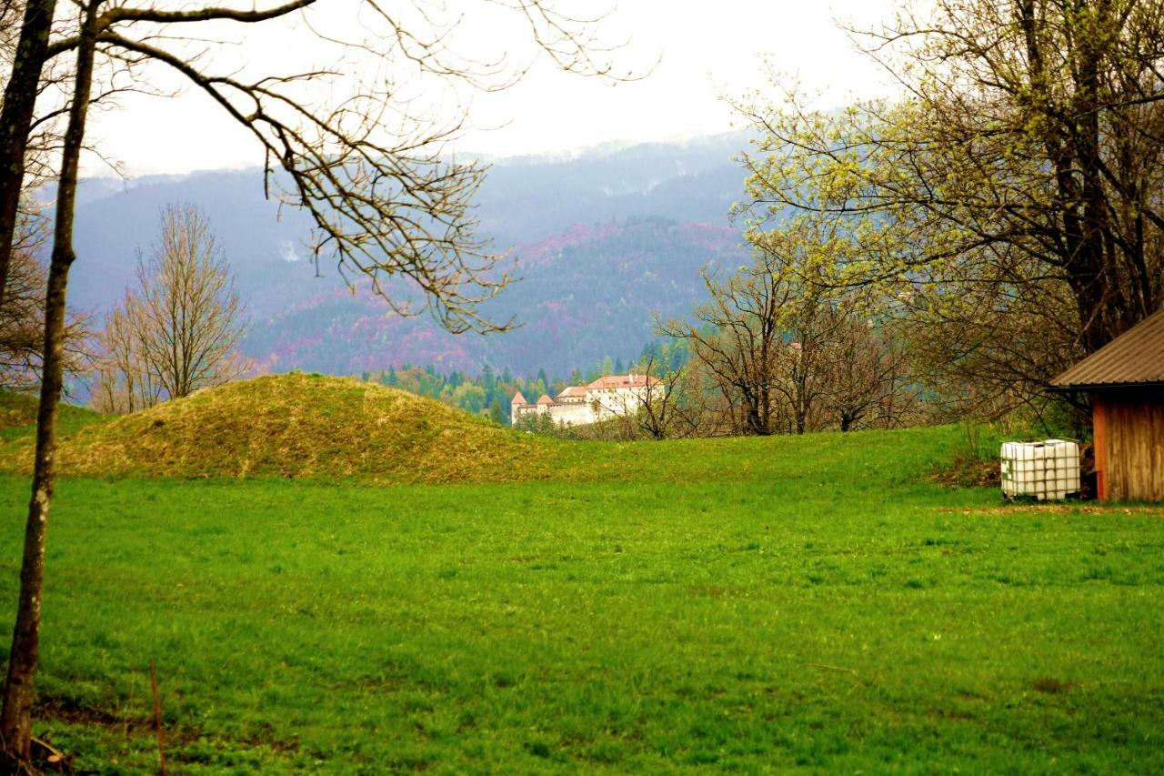 Apartma Erzen Zgornje Gorje Exterior foto